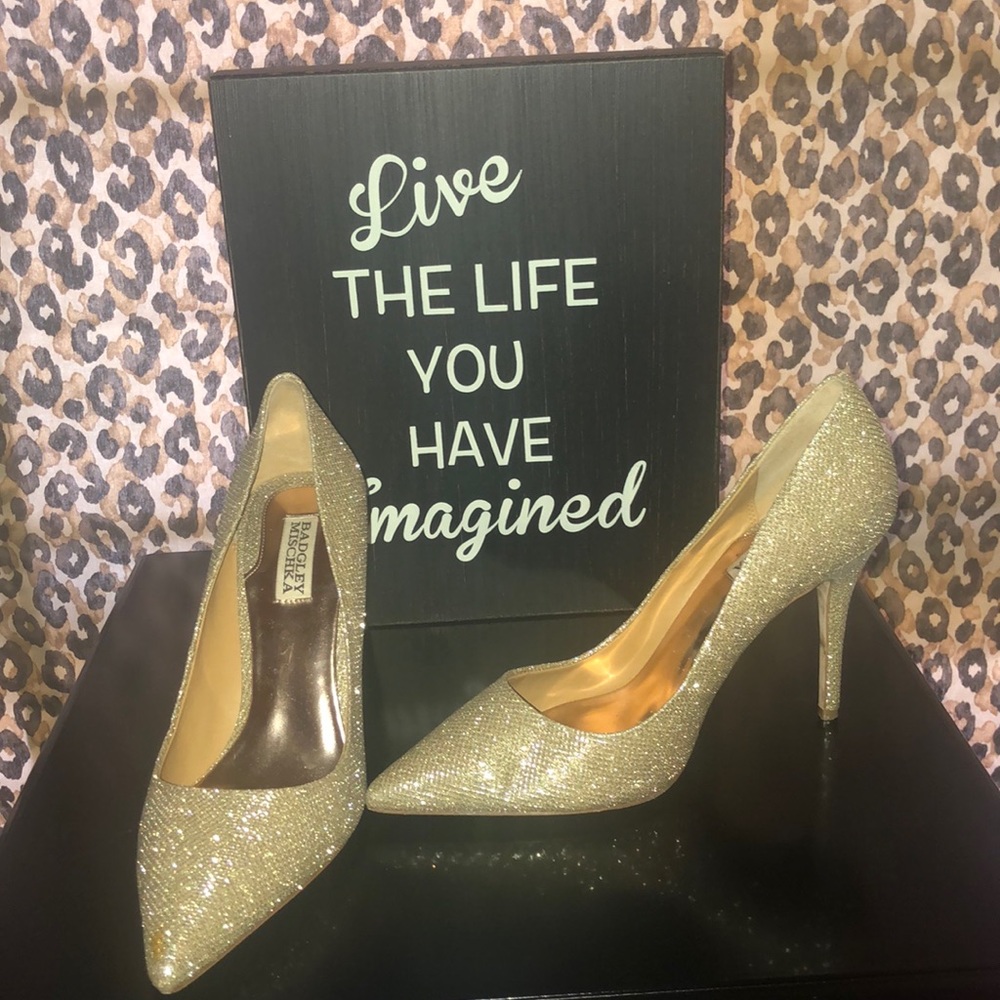 Bagdgley Mischka evening shoes  worn once